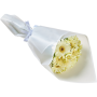 gerbera white bouquet
